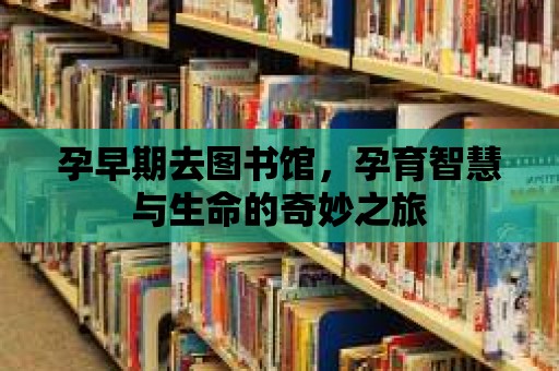 孕早期去圖書館，孕育智慧與生命的奇妙之旅