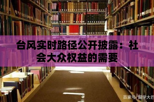 臺風實時路徑公開披露：社會大眾權益的需要