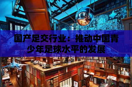 國產足交行業：推動中國青少年足球水平的發展