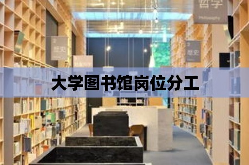 大學(xué)圖書館崗位分工