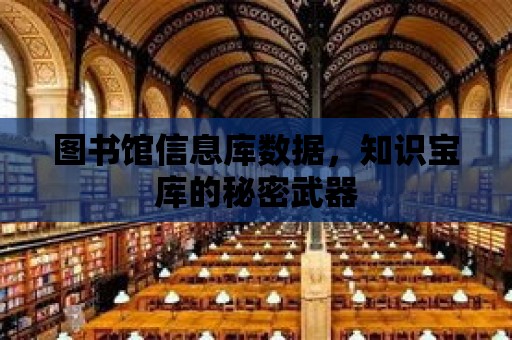 圖書館信息庫數據，知識寶庫的秘密武器