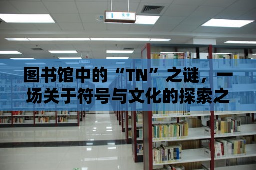 圖書館中的“TN”之謎，一場關于符號與文化的探索之旅