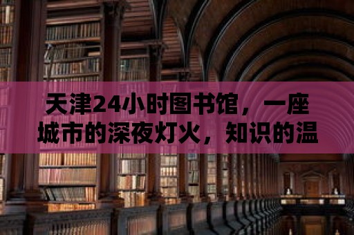 天津24小時圖書館，一座城市的深夜燈火，知識的溫暖港灣