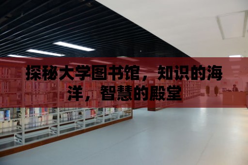 探秘大學圖書館，知識的海洋，智慧的殿堂