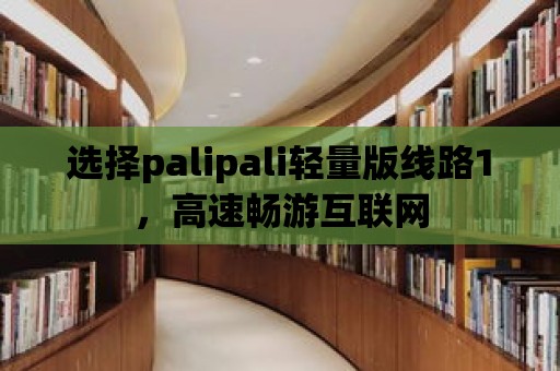 選擇palipali輕量版線路1，高速暢游互聯網