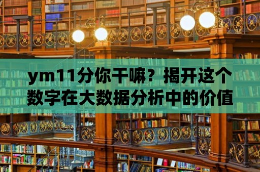 ym11分你干嘛？揭開這個數字在大數據分析中的價值。