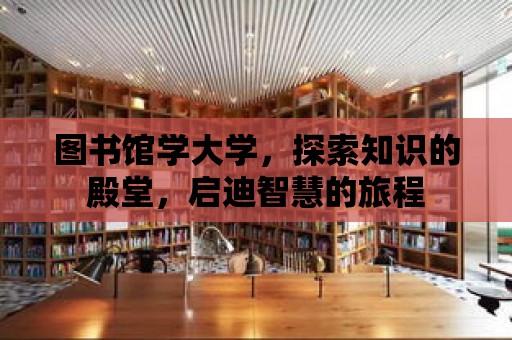 圖書館學(xué)大學(xué)，探索知識的殿堂，啟迪智慧的旅程