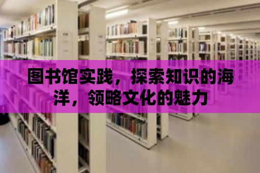 圖書館實踐，探索知識的海洋，領(lǐng)略文化的魅力