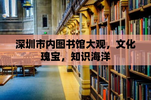 深圳市內圖書館大觀，文化瑰寶，知識海洋