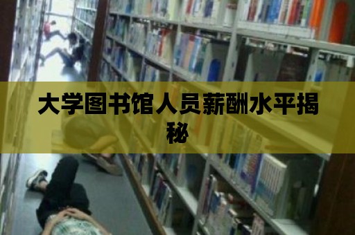 大學圖書館人員薪酬水平揭秘