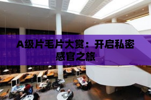 A級片毛片大賞：開啟私密感官之旅