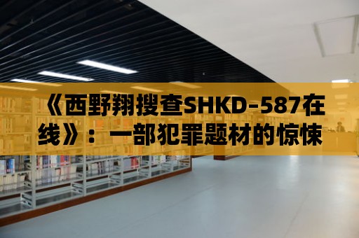 《西野翔搜查SHKD–587在線》：一部犯罪題材的驚悚大片