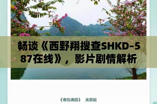 暢談《西野翔搜查SHKD–587在線》，影片劇情解析