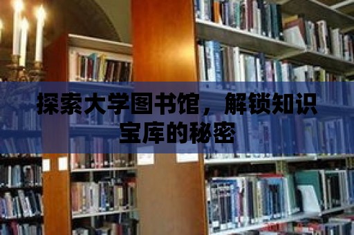 探索大學(xué)圖書(shū)館，解鎖知識(shí)寶庫(kù)的秘密