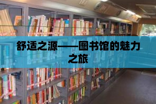 舒適之源——圖書館的魅力之旅