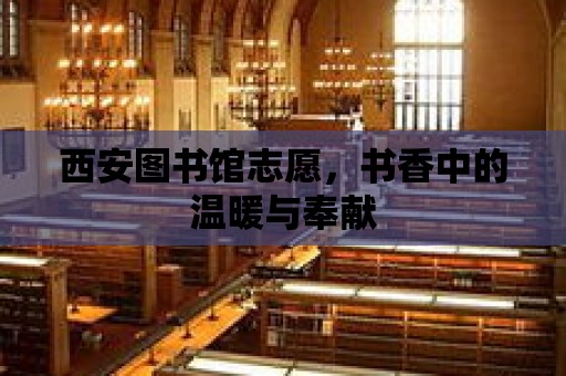 西安圖書館志愿，書香中的溫暖與奉獻