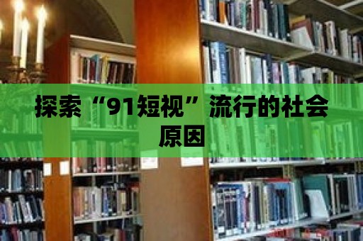 探索“91短視”流行的社會原因