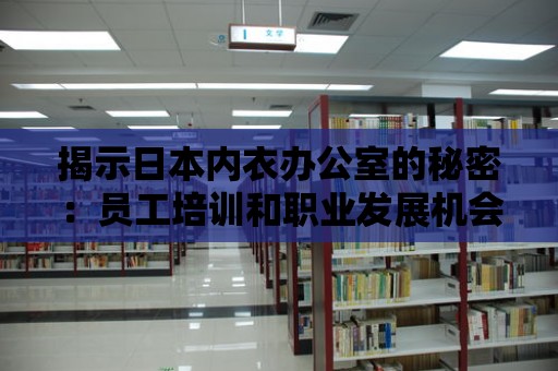 揭示日本內衣辦公室的秘密：員工培訓和職業發展機會