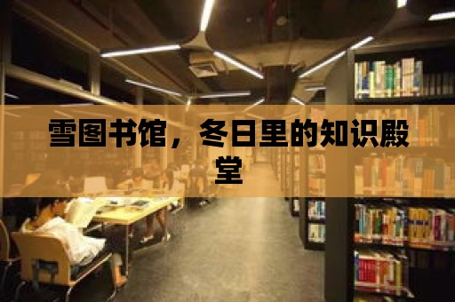 雪圖書館，冬日里的知識殿堂