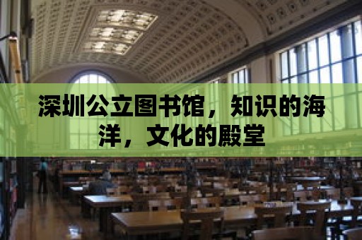 深圳公立圖書館，知識(shí)的海洋，文化的殿堂