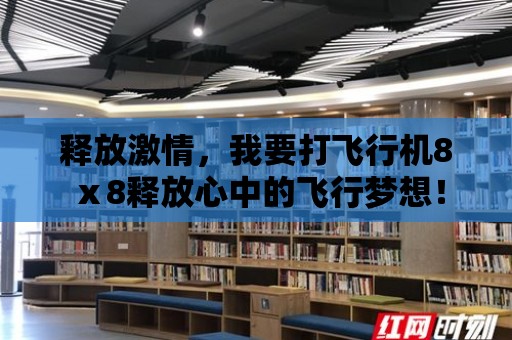 釋放激情，我要打飛行機8ⅹ8釋放心中的飛行夢想！