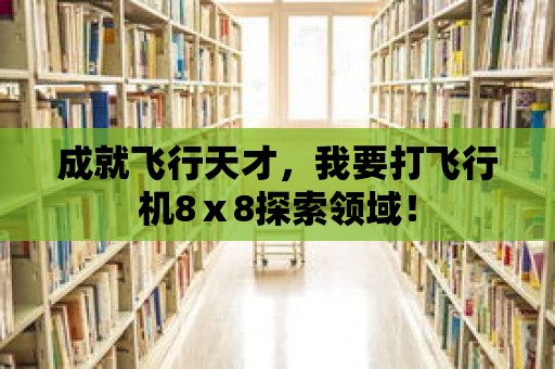 成就飛行天才，我要打飛行機8ⅹ8探索領域！