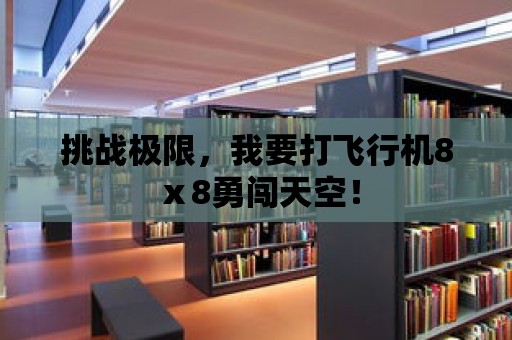 挑戰極限，我要打飛行機8ⅹ8勇闖天空！