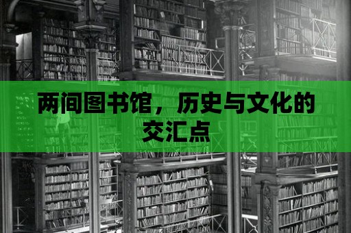 兩間圖書館，歷史與文化的交匯點