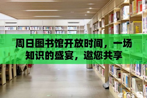 周日圖書館開放時間，一場知識的盛宴，邀您共享