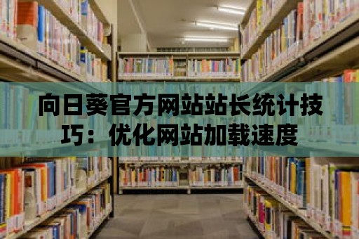 向日葵官方網站站長統計技巧：優化網站加載速度