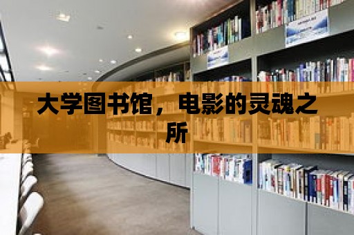 大學圖書館，電影的靈魂之所