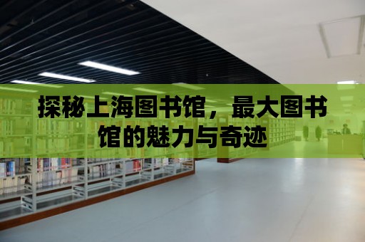 探秘上海圖書館，最大圖書館的魅力與奇跡