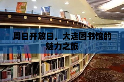 周日開放日，大連圖書館的魅力之旅