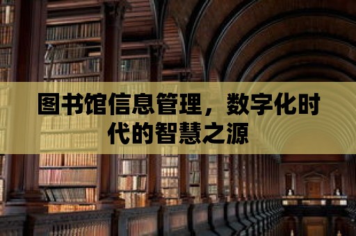 圖書館信息管理，數(shù)字化時代的智慧之源