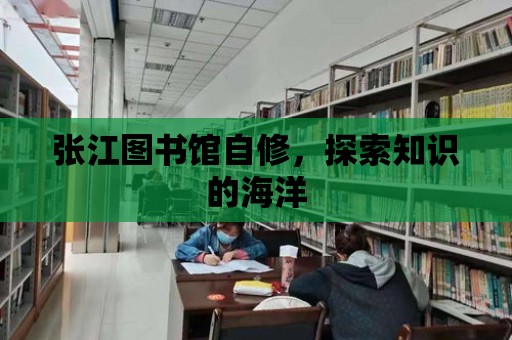 張江圖書館自修，探索知識的海洋