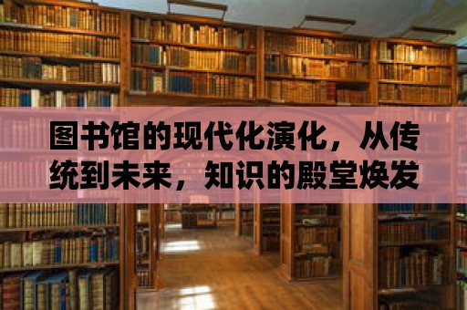 圖書館的現代化演化，從傳統到未來，知識的殿堂煥發新生