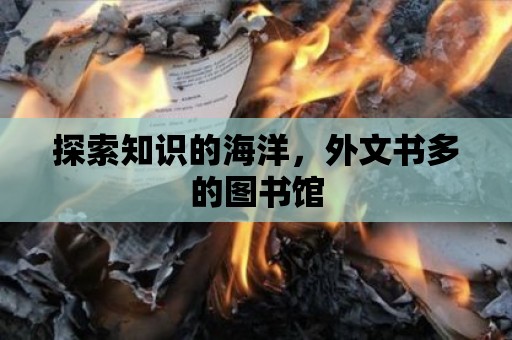 探索知識的海洋，外文書多的圖書館