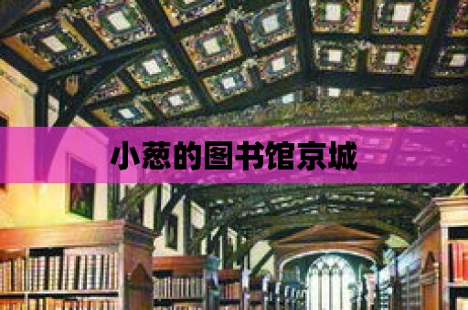 小蔥的圖書館京城