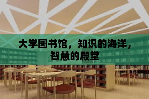 大學(xué)圖書館，知識的海洋，智慧的殿堂