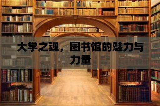 大學之魂，圖書館的魅力與力量