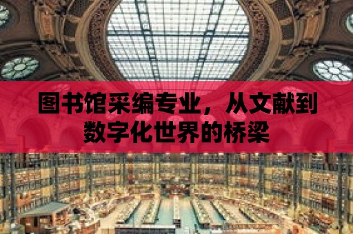 圖書館采編專業，從文獻到數字化世界的橋梁