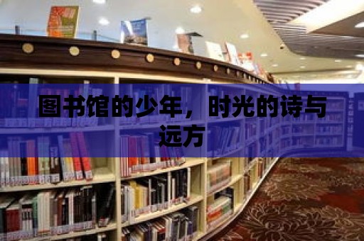 圖書館的少年，時光的詩與遠(yuǎn)方