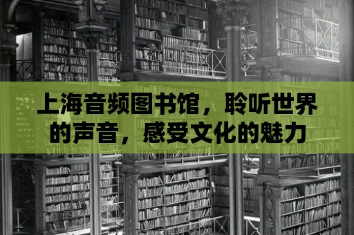 上海音頻圖書館，聆聽世界的聲音，感受文化的魅力