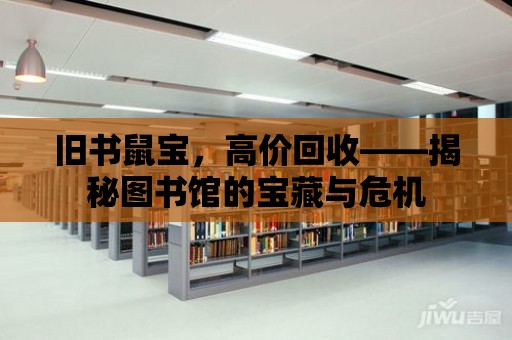 舊書鼠寶，高價回收——揭秘圖書館的寶藏與危機