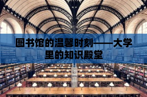 圖書館的溫馨時(shí)刻——大學(xué)里的知識殿堂