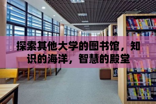 探索其他大學(xué)的圖書館，知識的海洋，智慧的殿堂