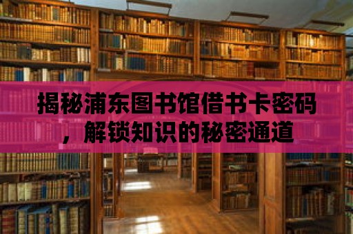 揭秘浦東圖書館借書卡密碼，解鎖知識的秘密通道