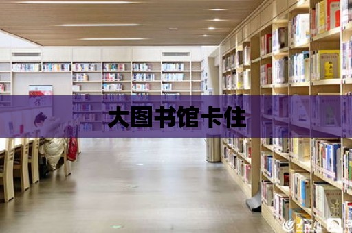 大圖書館卡住