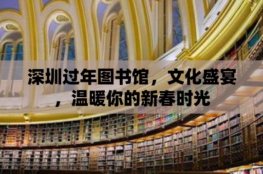 深圳過年圖書館，文化盛宴，溫暖你的新春時光