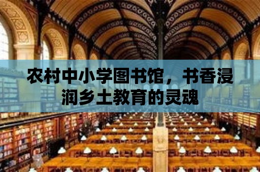 農村中小學圖書館，書香浸潤鄉土教育的靈魂